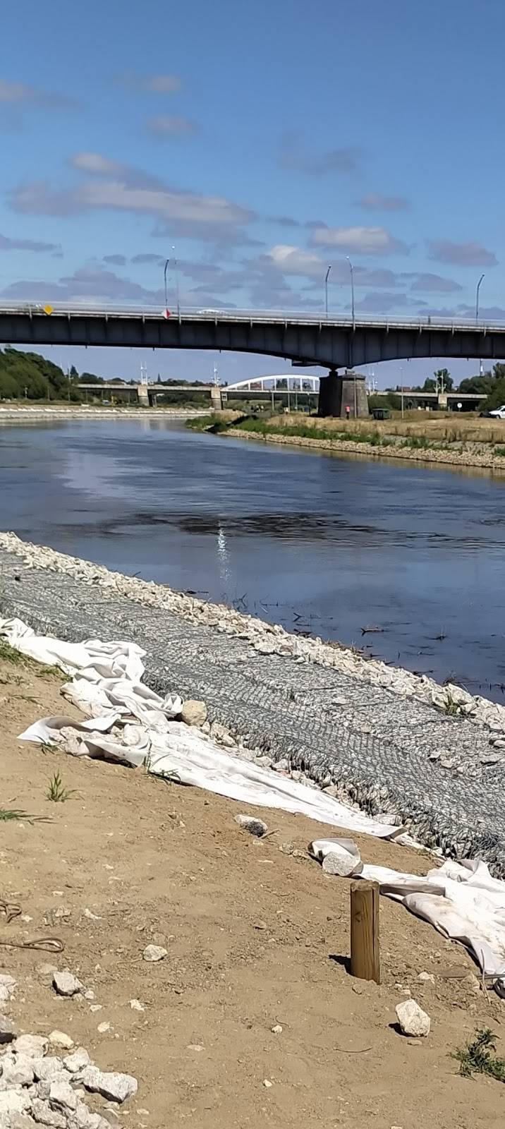 Read more about the article Dlaczego betonujemy brzegi rzek w miastach?